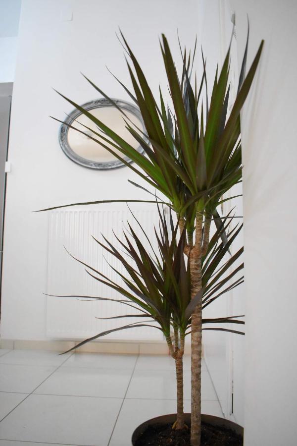 4Seasons Apartment Thebes Esterno foto